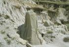 Theodore Roosevelt National Park 25