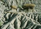 Theodore Roosevelt National Park 19