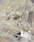 Theodore Roosevelt National Park 29