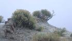 Theodore Roosevelt National Park 34