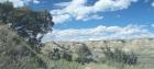 Theodore Roosevelt National Park 9