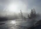 Yellowstone 5