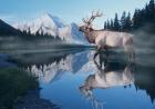 Reflections Of Glacier