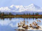 Mount Denili E I Caribou