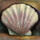 Scallop