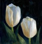 White Tulips