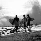 The Surfers