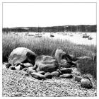 Shoreline With Boats B& W