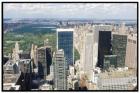 Looking North Over Central Park