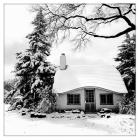 Snow Curved Roof