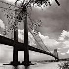 Verrazano Bridge 2