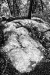 Hillside Boulder- Monochrome