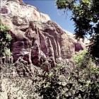 Zion National Park Mountain