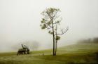 Gardener And Single Tree
