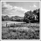 Open Field With Fence