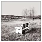 Bench Alone