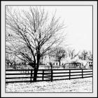 Infra Red Scenic At The Farm