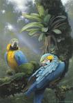 Blue And Yellow Macaws