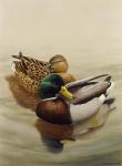 Mallard