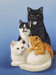 Cat Family