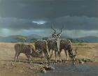 Greater Kudus