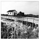 Boardwalk And House