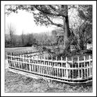 Garden Fence Circa 1865
