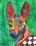 Cirneco 5