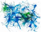 Splatters 1
