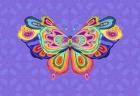 Wings of Wonder 1