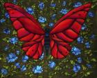 Red On Blue Butterfly