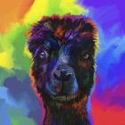 Pop Art - Alpaca