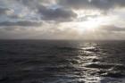 Morning On The North Sea