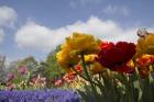 Standing Flowers