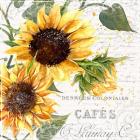 Summertime Sunflowers II