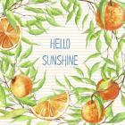 Hello Sunshine