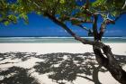 Shadows On The Beach