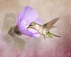 A Taste of Nectar Hummingbird