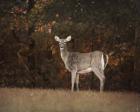 Autumn Doe