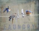 Laundry Day Bluebirds