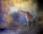 Let The Sun Shine In Giraffe