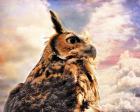 Majestic Great Horned Owl