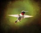 Portrait Of A Hummingbird In Flight
