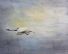 Silent Flight Great White Egret