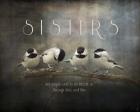 Sisters Chickadees