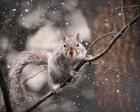 Snow Day Squirrel