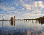 Autumn Cypress Trees