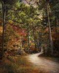 Autumn Forest 2