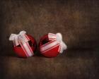 Two Red Ornaments Still Life