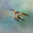 Hummingbird On Mint